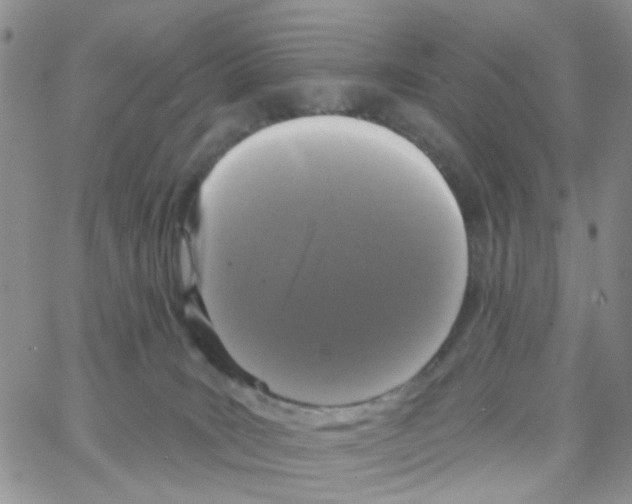 X0000064740035200603131329