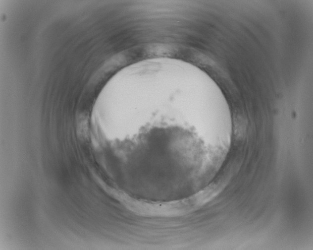 X0000064740036200603131329