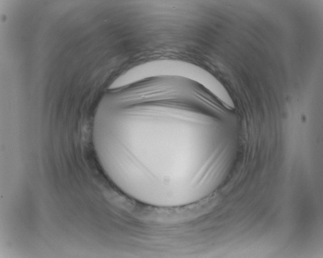 X0000064740037200603131329