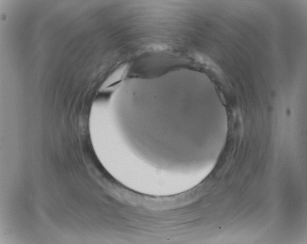 X0000064740039200603131329