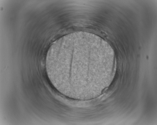 X0000064740040200603131329