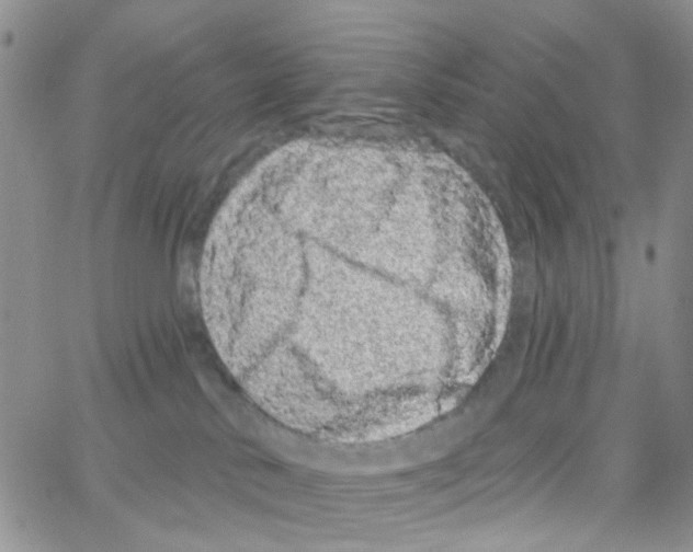 X0000064740042200603131329