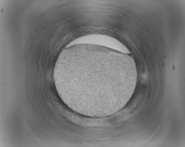 X0000064740044200603131329