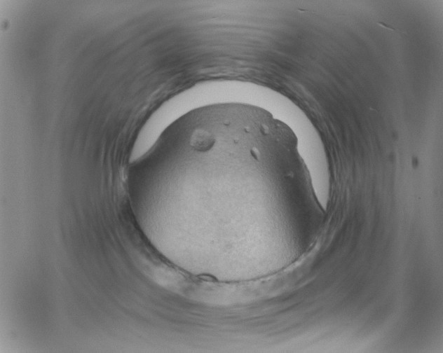 X0000064740045200603131329