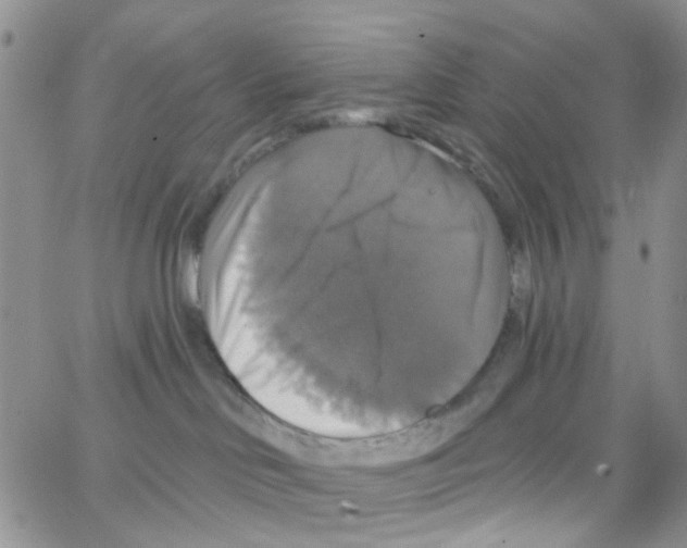 X0000064740046200603131329