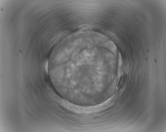 X0000064740047200603131329