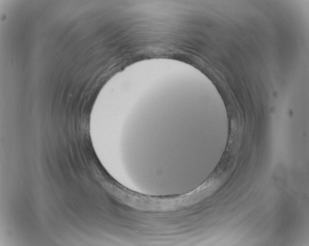 X0000064740048200603131329