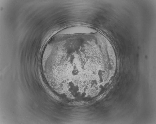 X0000064740049200603131328