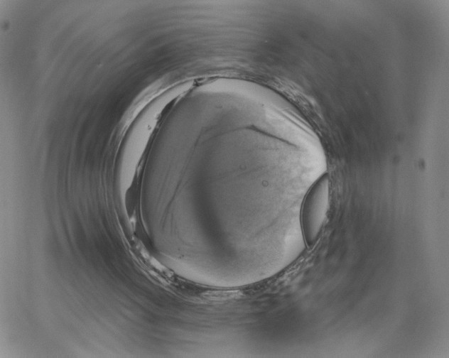 X0000064740051200603131329