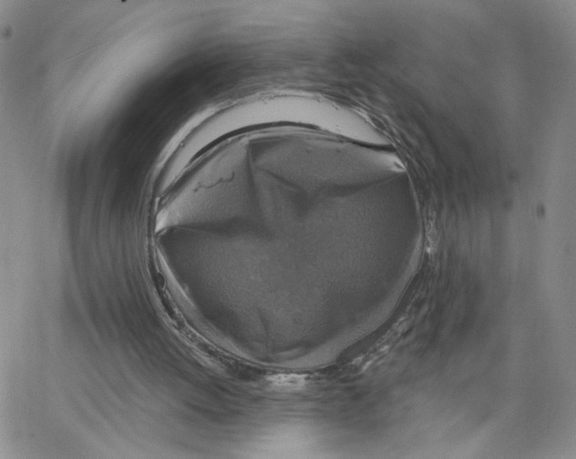 X0000064740052200603131329