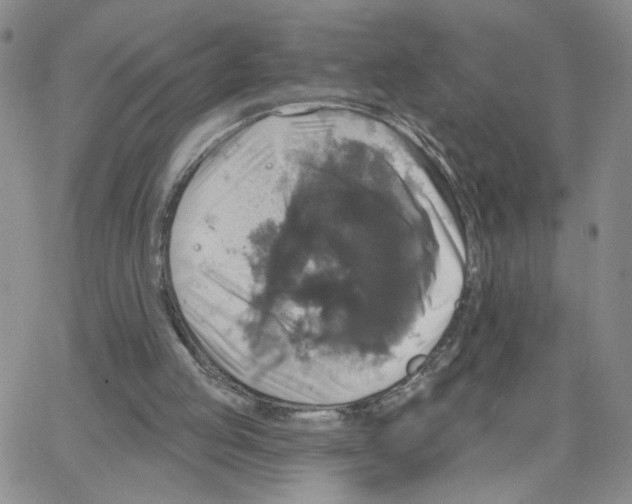 X0000064740053200603131329