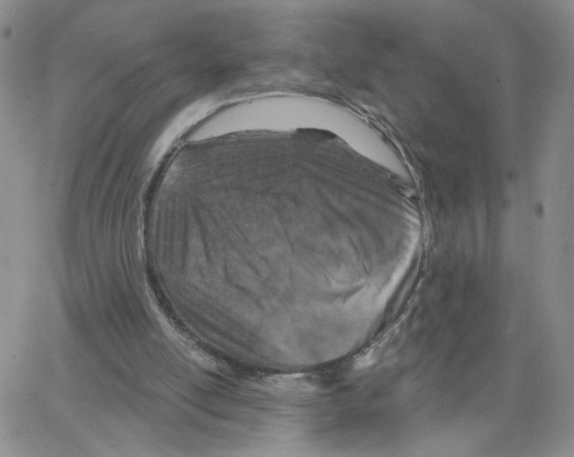 X0000064740054200603131329