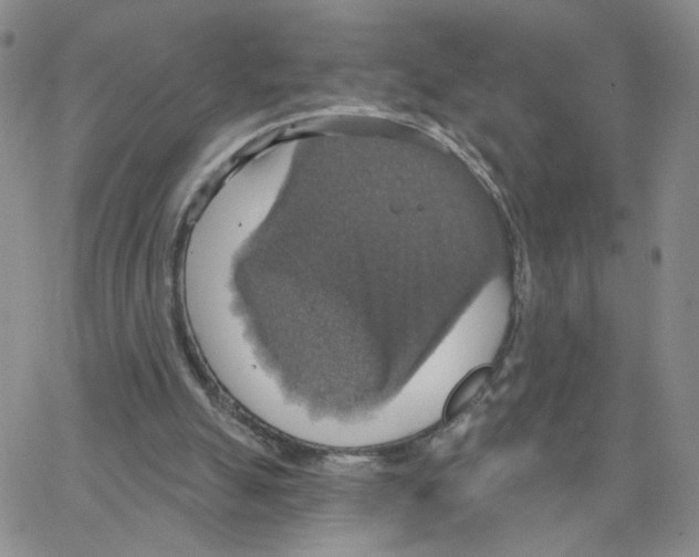 X0000064740055200603131329