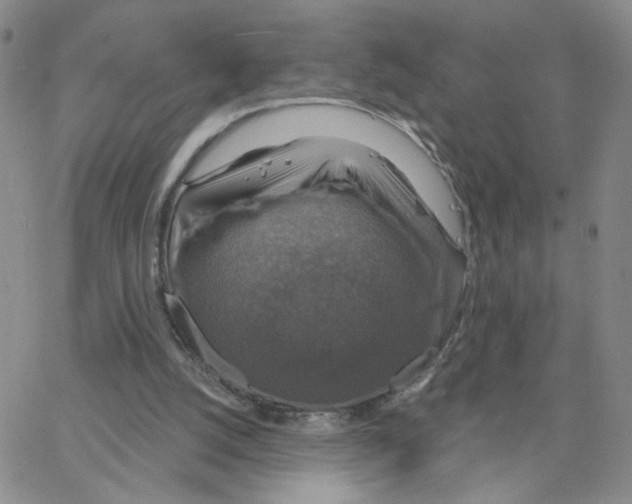 X0000064740056200603131329