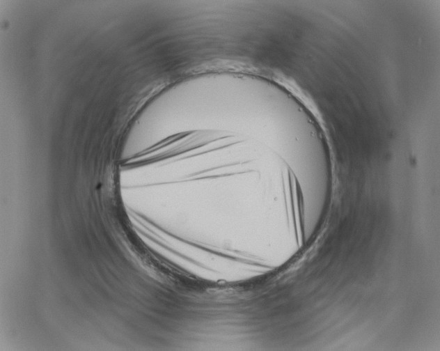 X0000064740057200603131329