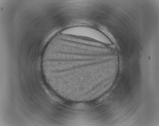 X0000064740058200603131329