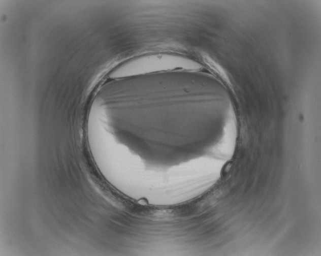 X0000064740059200603131329