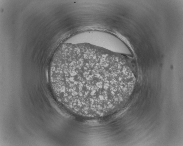 X0000064740061200603131329