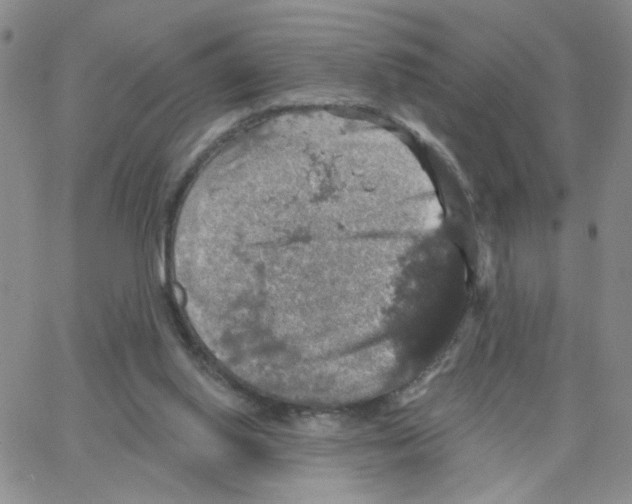 X0000064740062200603131329