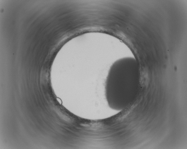 X0000064740063200603131329