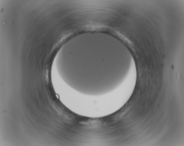 X0000064740067200603131329