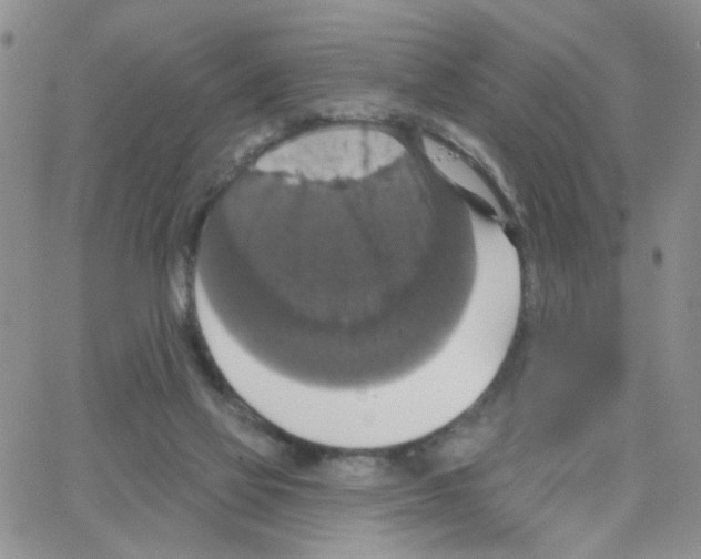 X0000064740069200603131329