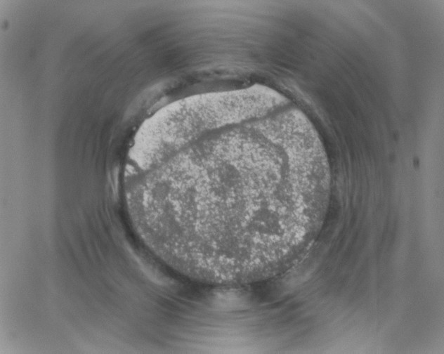 X0000064740070200603131329