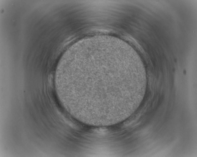 X0000064740071200603131329