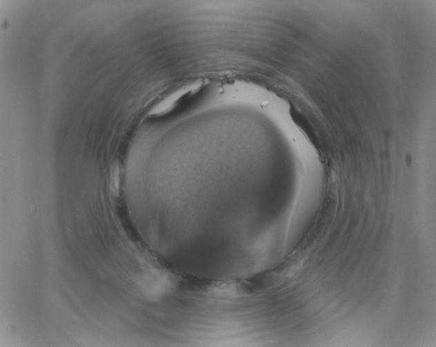 X0000064740076200603131329