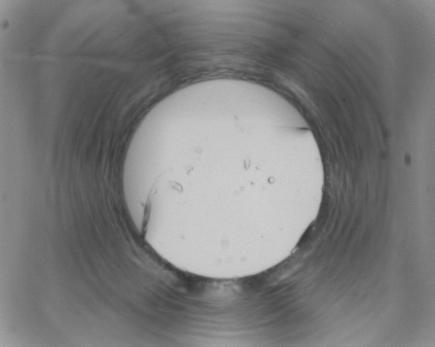 X0000064740077200603131329