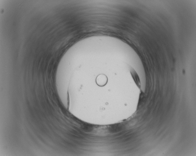 X0000064740078200603131329