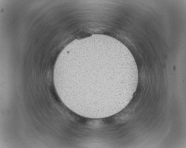 X0000064740079200603131329