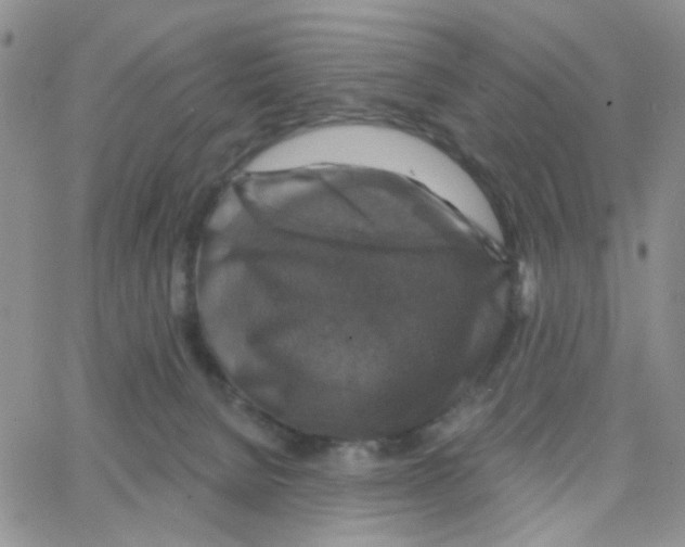 X0000064740080200603131329