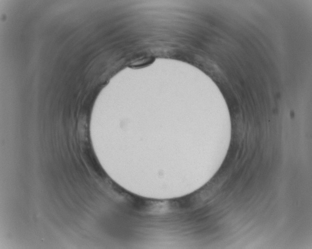 X0000064740083200603131329