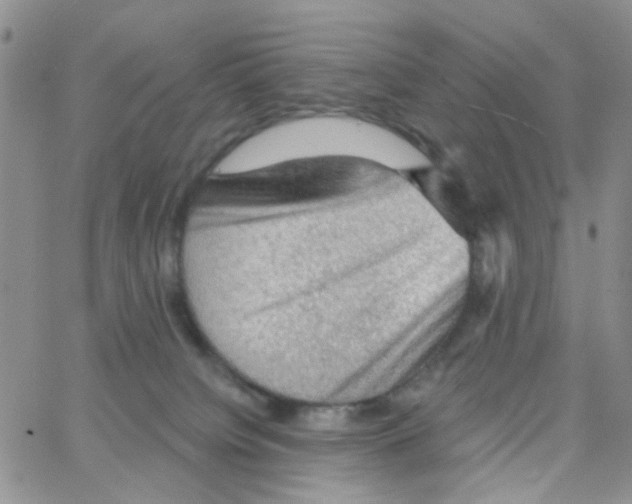 X0000064740084200603131329