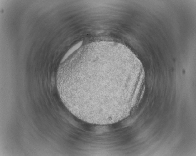 X0000064740085200603131329