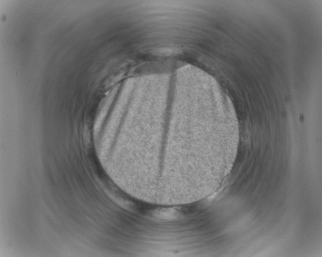 X0000064740086200603131329