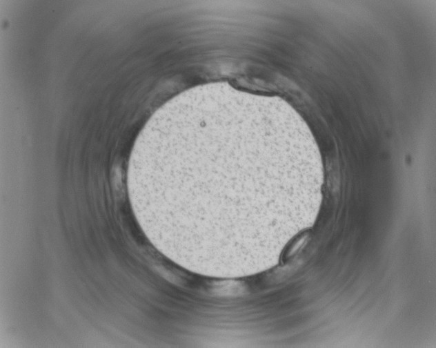 X0000064740087200603131329