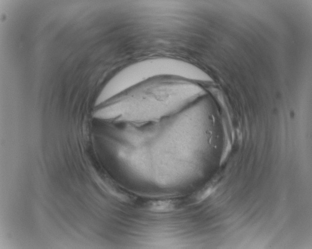 X0000064740088200603131329