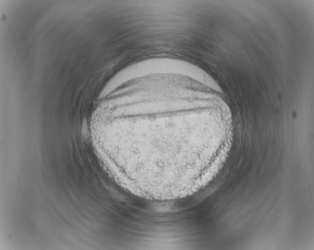 X0000064740089200603131329