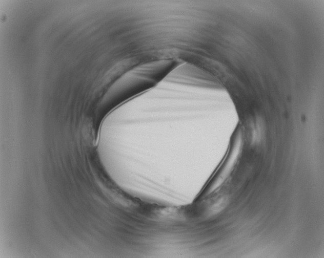 X0000064740092200603131329