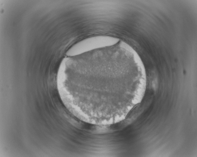 X0000064740093200603131329