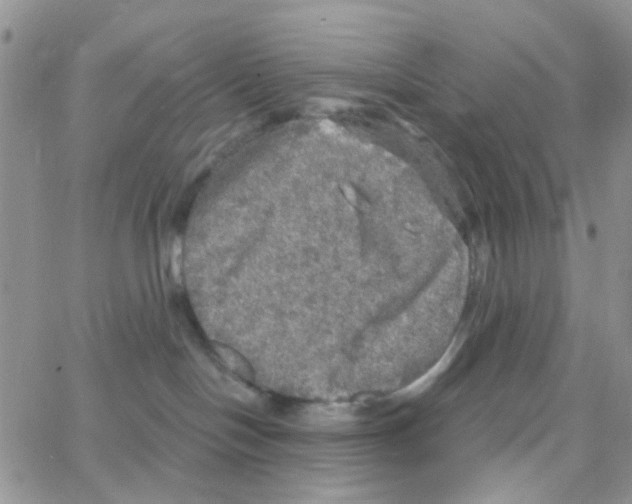 X0000064740094200603131329