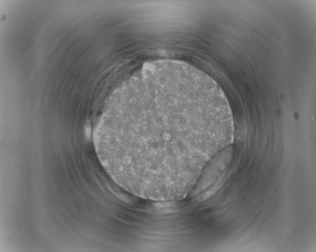 X0000064740095200603131329