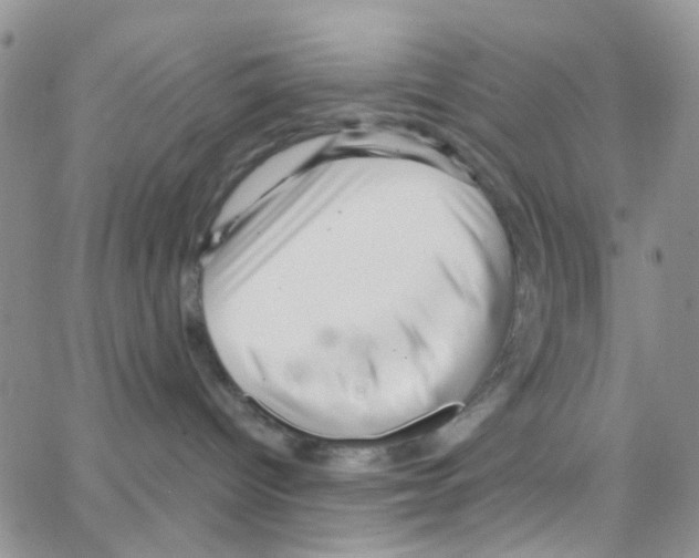 X0000064740096200603131329