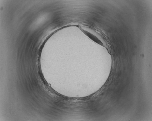 X0000064740098200603131328