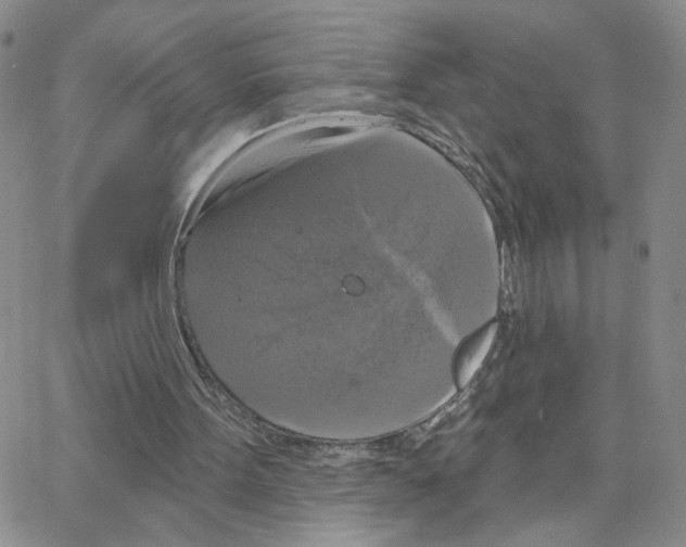 X0000064740099200603131328