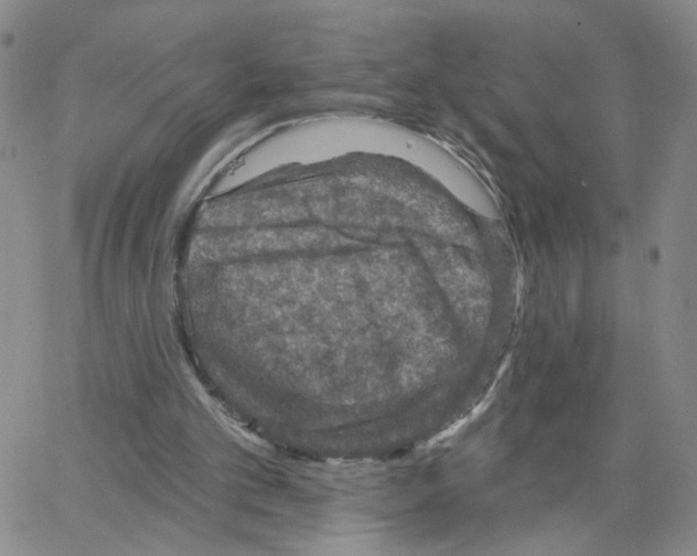 X0000064740101200603131328