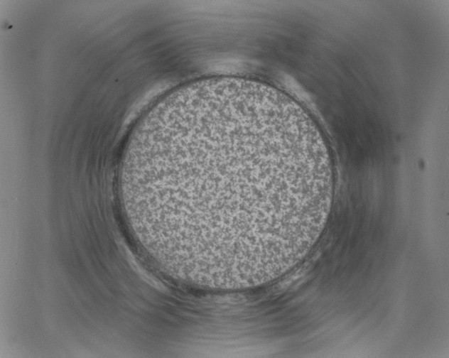 X0000064740106200603131328