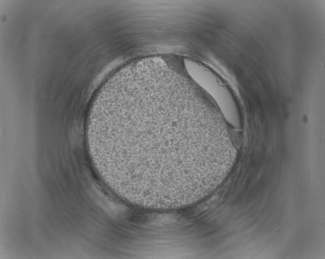 X0000064740107200603131328